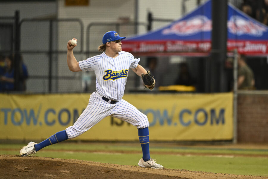 Baseline Fence (I) – Brisbane Bandits