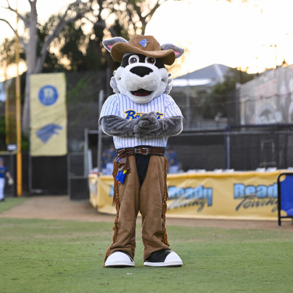 Bandits Mascot - Buster